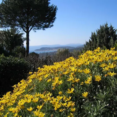 Le Belvedere *